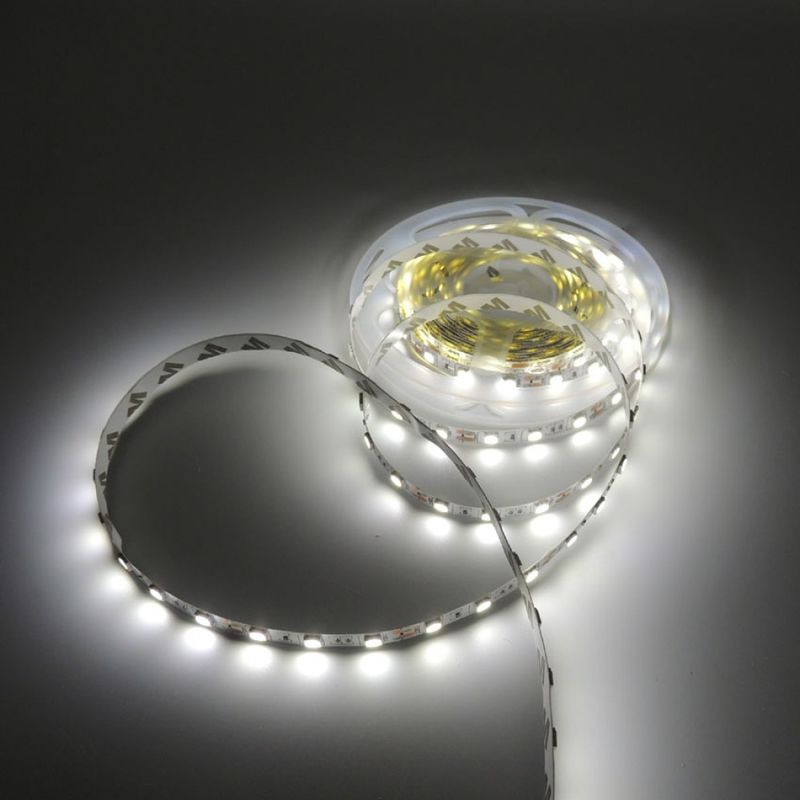 5m/rollo SMD2835 Flexible LED 120LEDs Direct Factory Buena calidad 8mm PCB IP20 Decoración para interiores