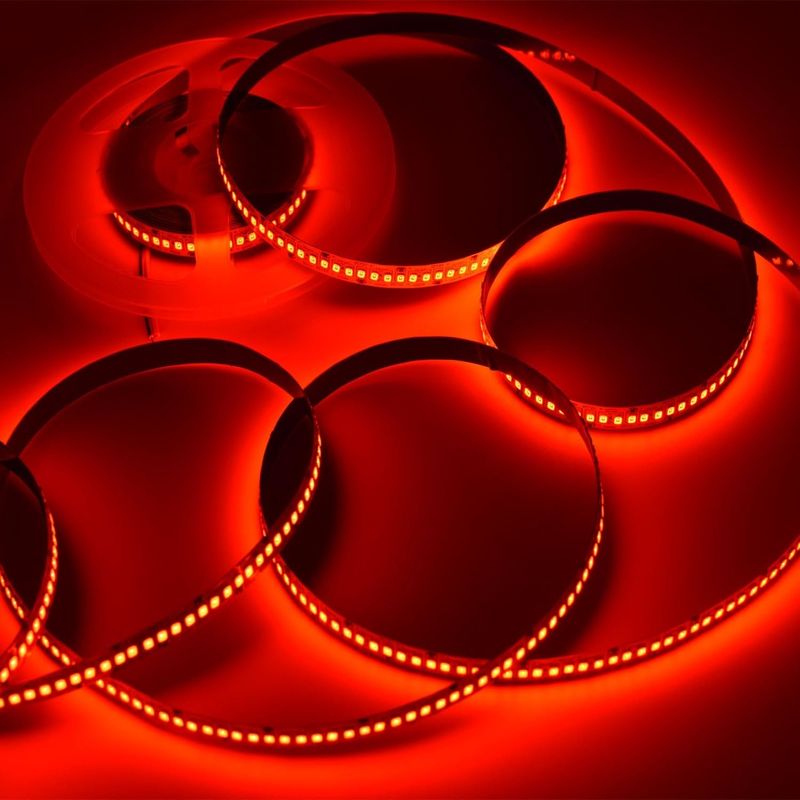 24V Alto Brillo 240LEDS SMD 2835 LED Strip Light 1200LEDs 16.4Ft No resistente al agua Colores Rojo Verde Azul Naranja Para KTV