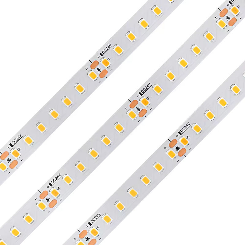 Alta CRI 98 Espectro completo Larga vida 120leds/M Dc24v 10mm 120led Smd 2835 Decoración de interiores Luz de banda LED