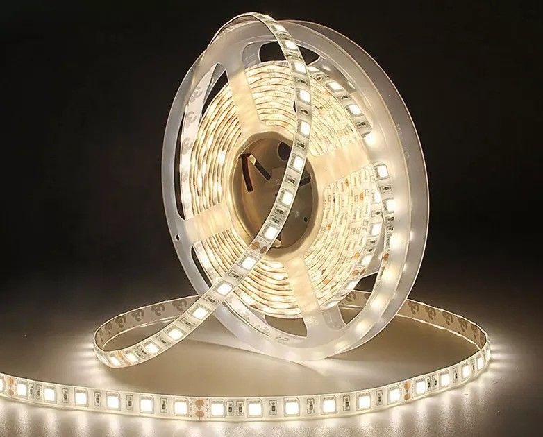 12w 12v 24v 10mm 60 Leds Rgb 5050 Smd Flexible Led Strip Light con y con varios colores