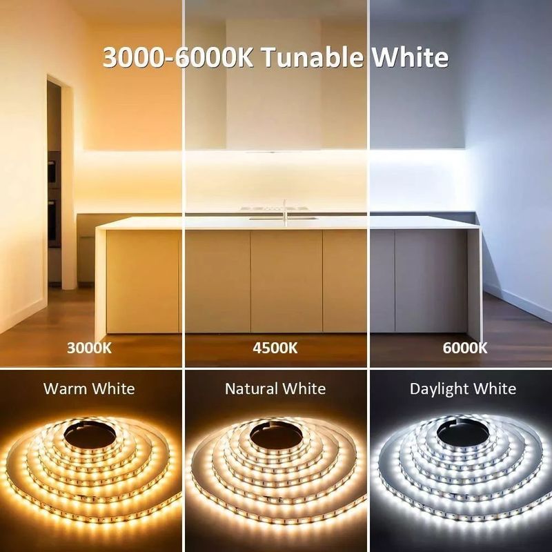 Calificación IP20 Iluminación para decoración de paisajes 5m 10m 12v 24v 220v Rgbw Cob Light Strip